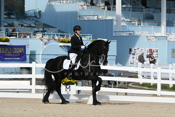 HSM_0684