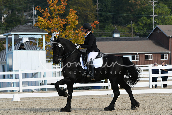 HSM_0694