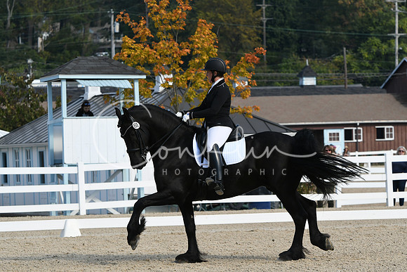 HSM_0695