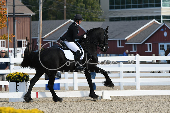HSM_0696