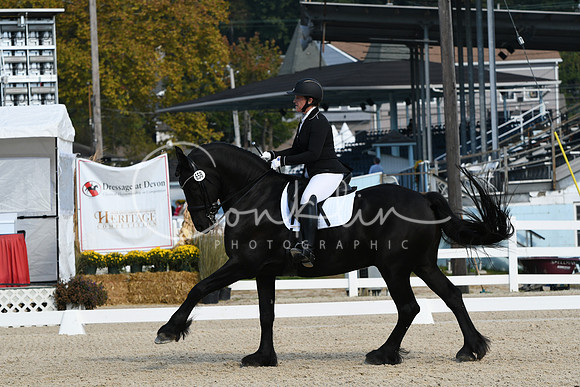 HSM_0699