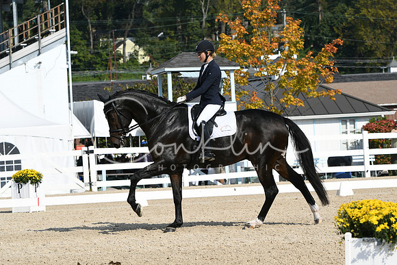 HSM_0893