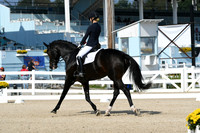 HSM_0903