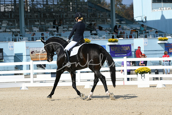 HSM_0907