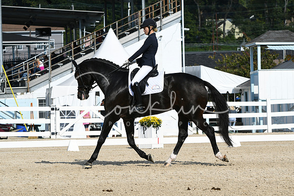 HSM_0917