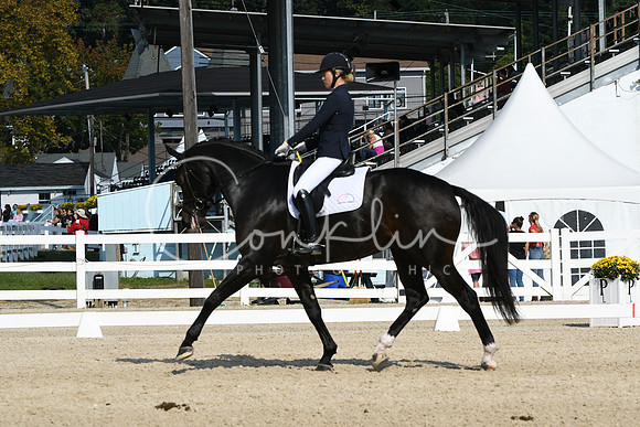 HSM_0918