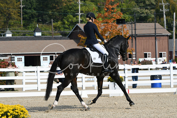 HSM_0930