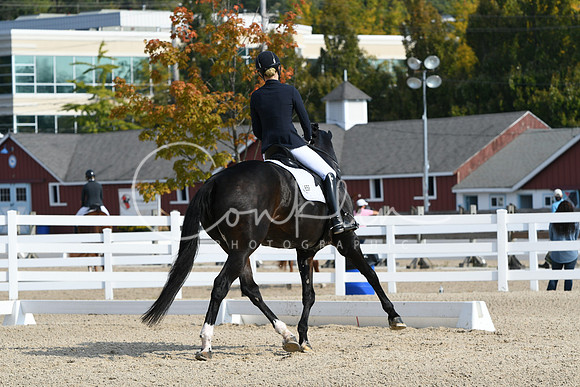 HSM_0937
