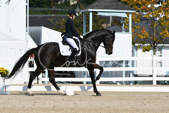 HSM_0941