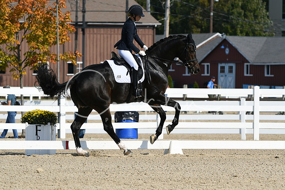 HSM_0943
