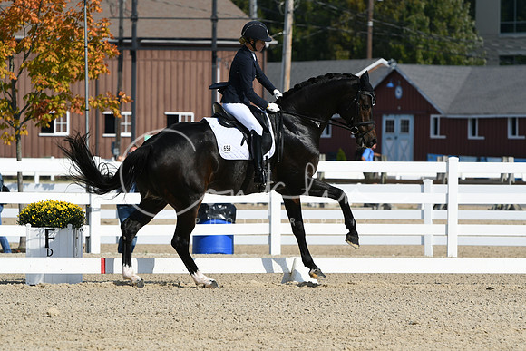 HSM_0944
