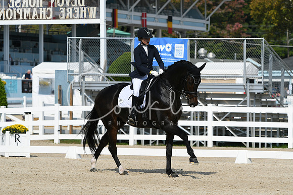 HSM_0948
