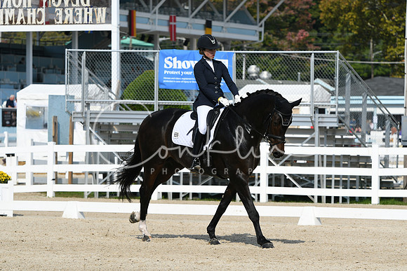 HSM_0949