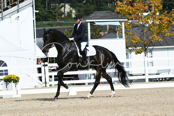 HSM_0965