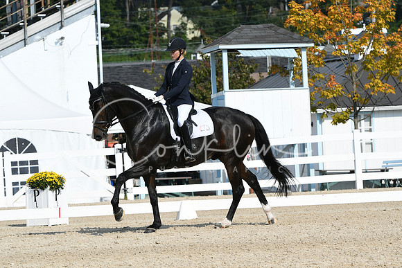HSM_0966