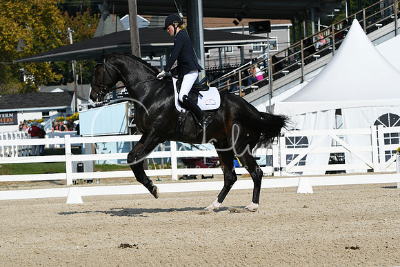 HSM_0967