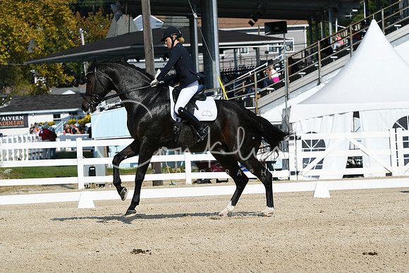 HSM_0968