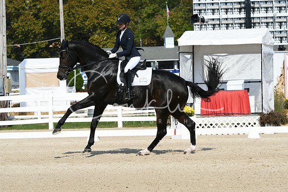 HSM_0969