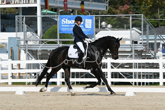 HSM_0980