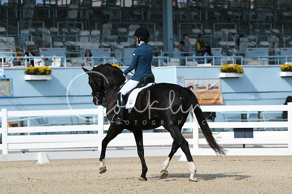 HSM_0799