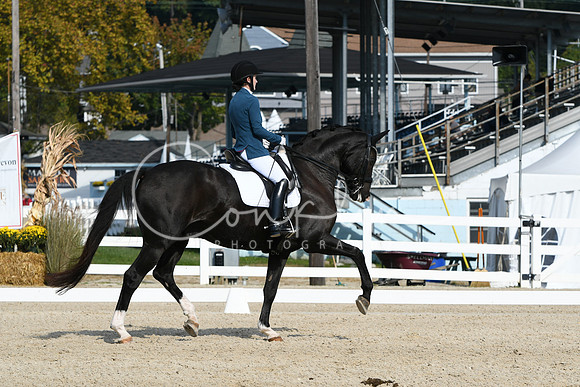 HSM_0805
