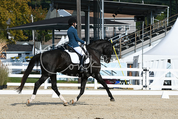 HSM_0806