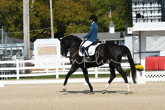 HSM_0813