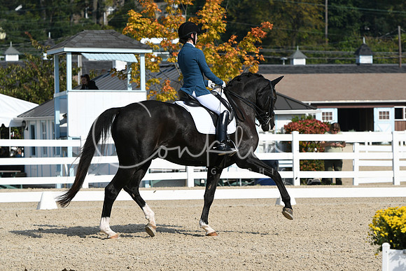 HSM_0826