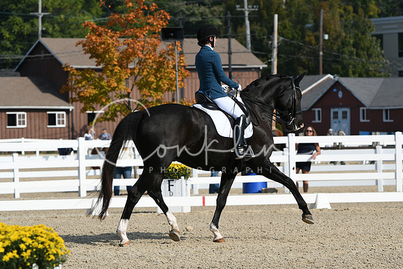 HSM_0828