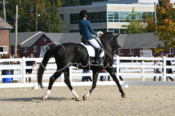 HSM_0831