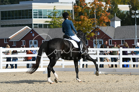 HSM_0832
