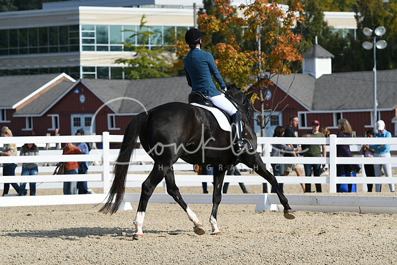HSM_0833