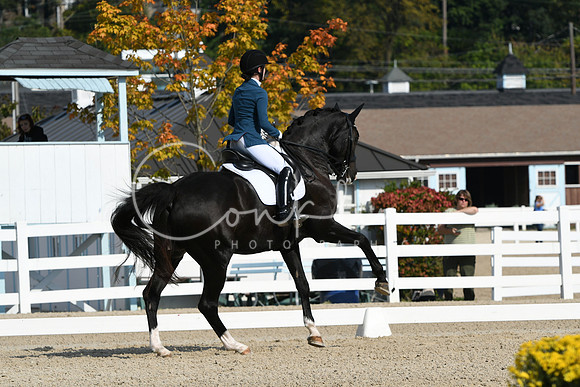 HSM_0859