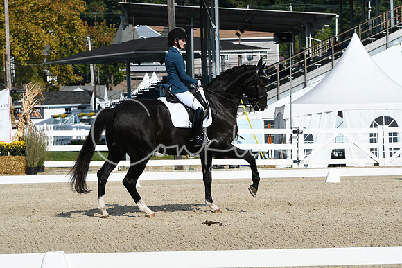 HSM_0862
