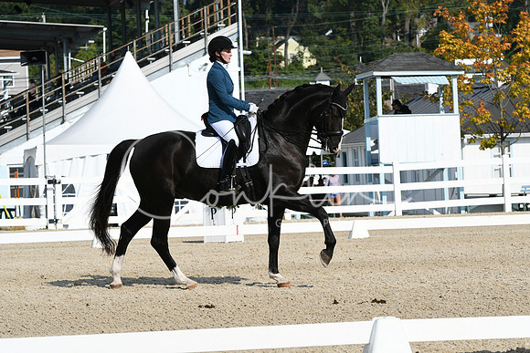 HSM_0865