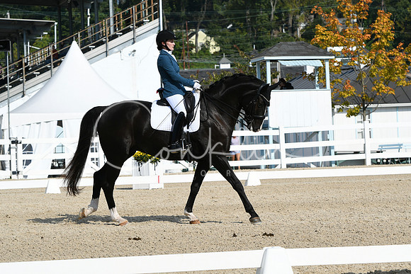 HSM_0866