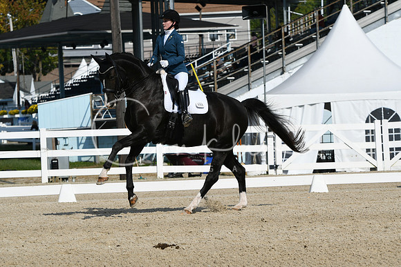 HSM_0867