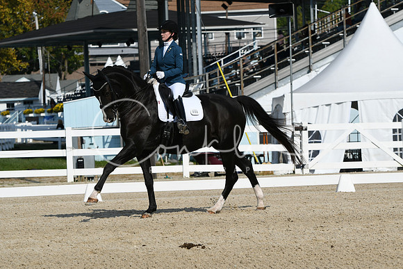 HSM_0868