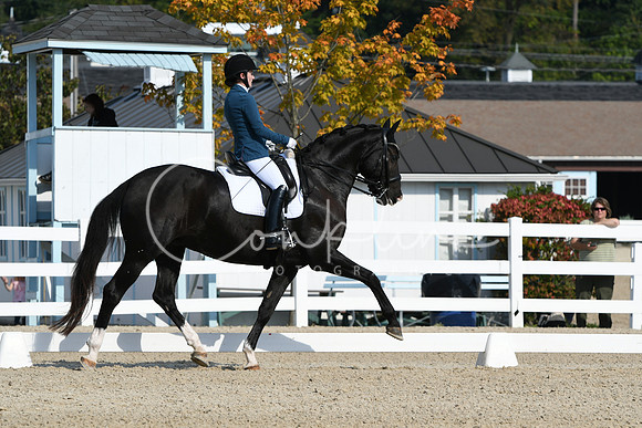 HSM_0876