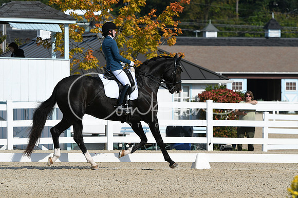 HSM_0877