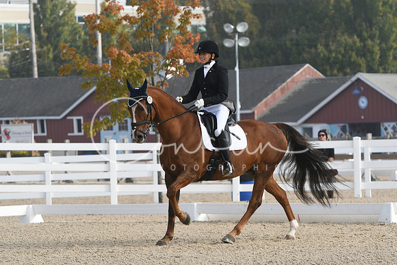 HSM_0220