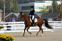HSM_0222