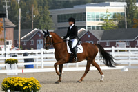 HSM_0223