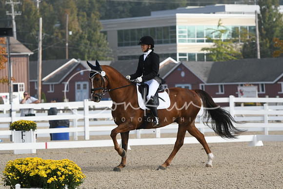 HSM_0223