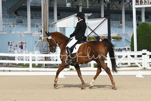 HSM_0229