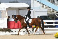 HSM_0233