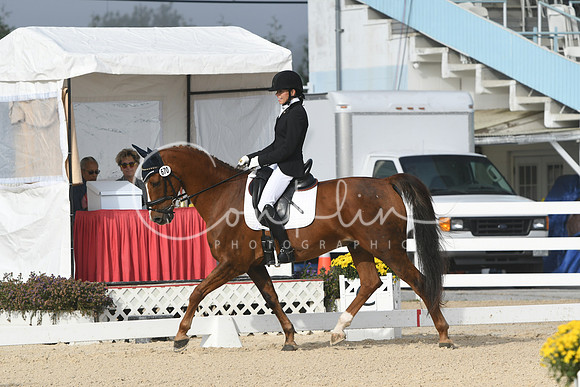 HSM_0233