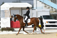HSM_0234