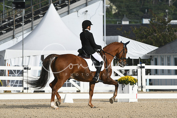 HSM_0241