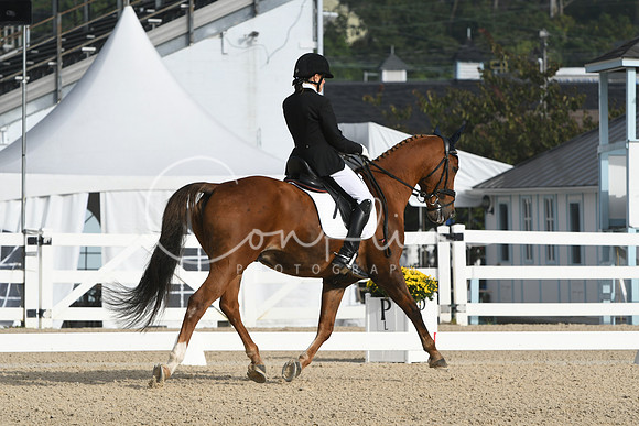 HSM_0242